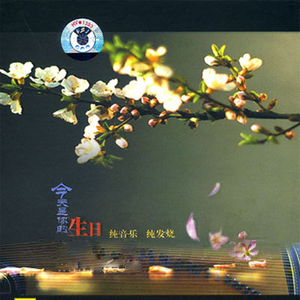 降央卓玛b大还是小
