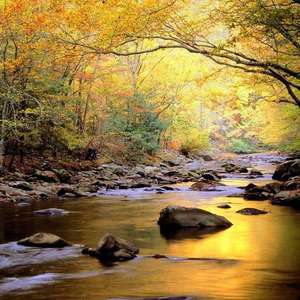 降央卓玛b大还是小
